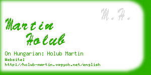 martin holub business card